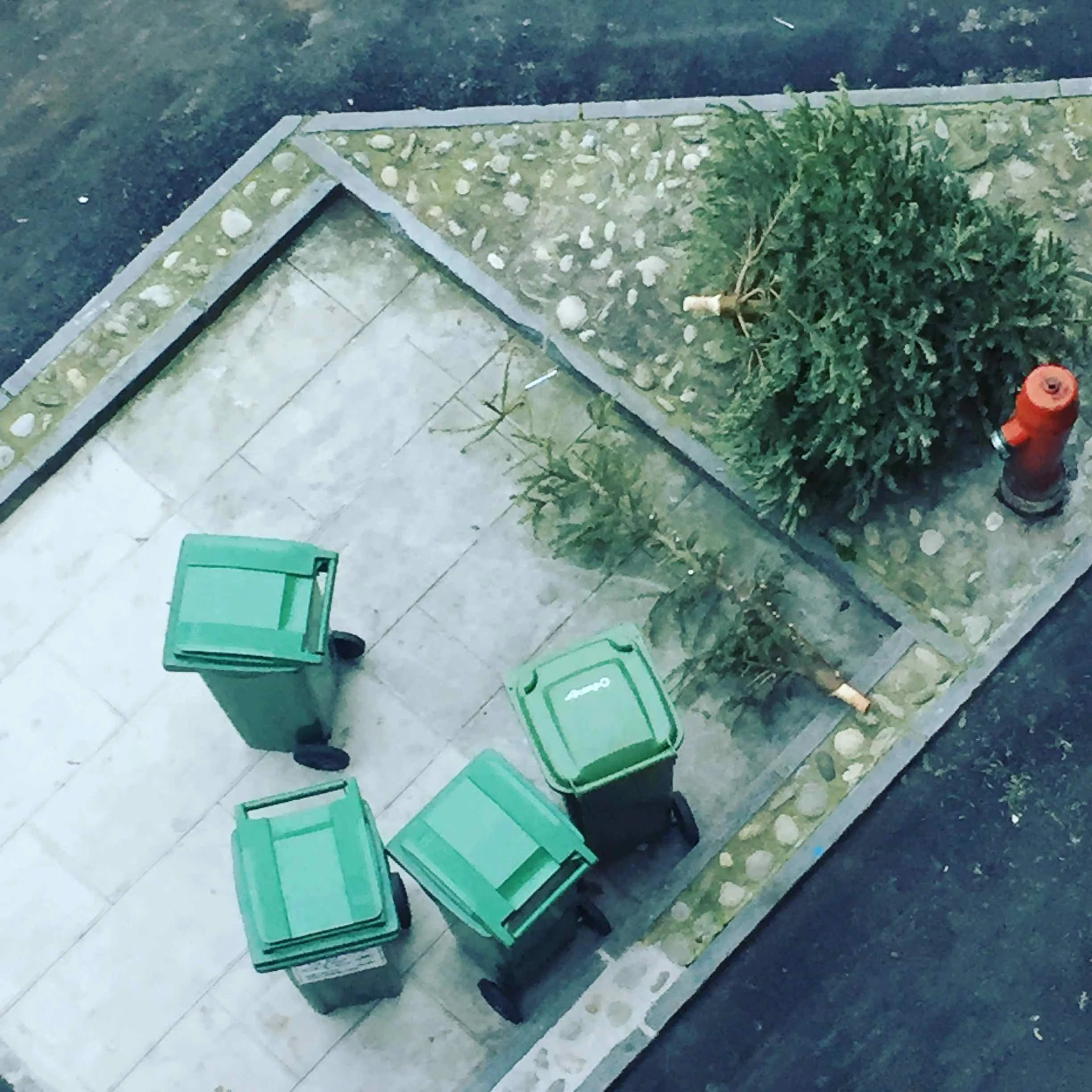 Incredible! Same crime scene. The experts confirm the naked Xmas Tree jumped from the 5th floor after he saw his compañiero on the ground. Apparently he suffered from several injuries pre-mortem probably perpetrated by his owners not long before he jumped. The investigation keeps running... 🧐