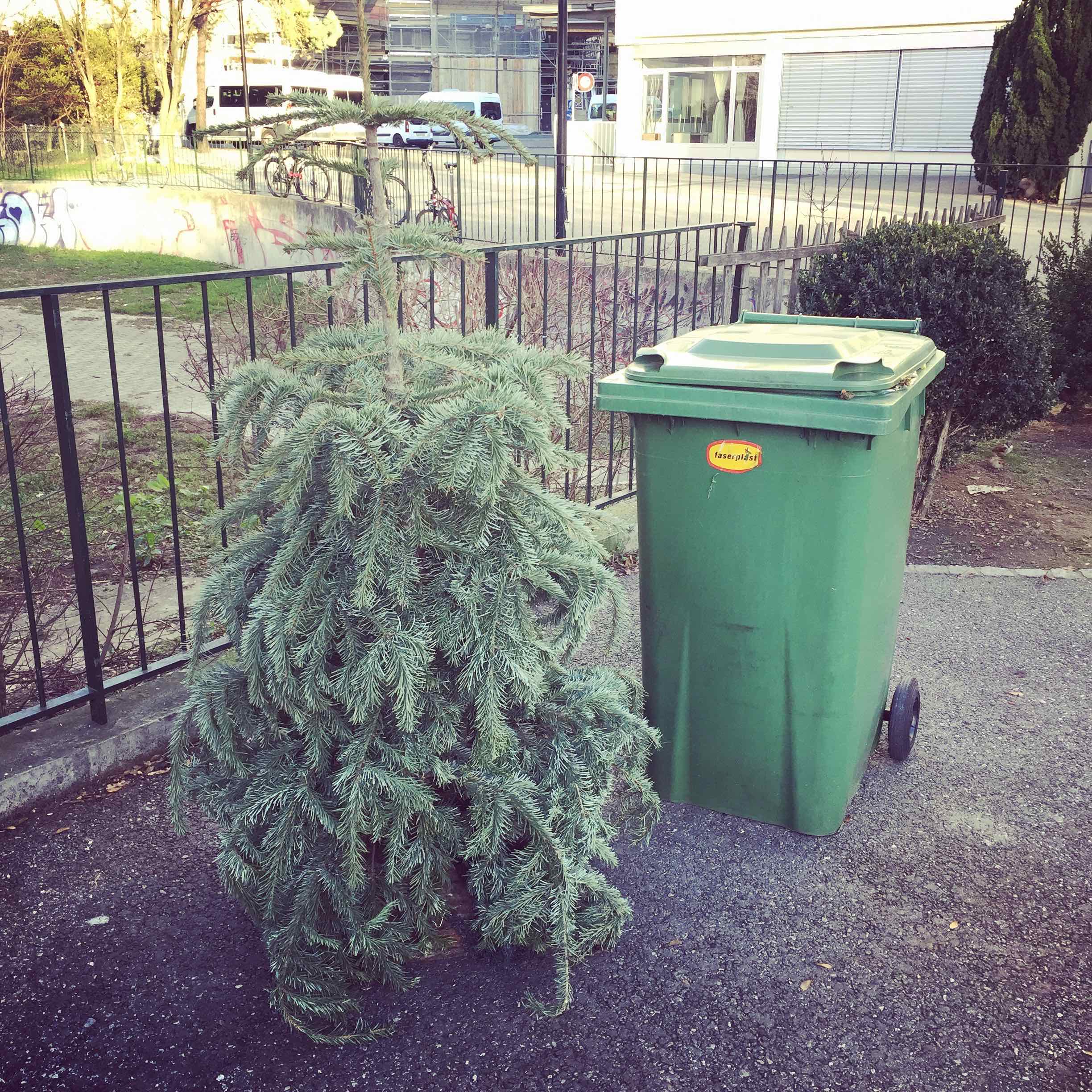 This Xmas tree look so old. Which normally would mean his owners spent a lot of time with him. Fair enough, I won’t be too harsh. But now that I think about it, isn’t it almost like trying to get rid of your grandpa instead of placing him in a retirement home?
