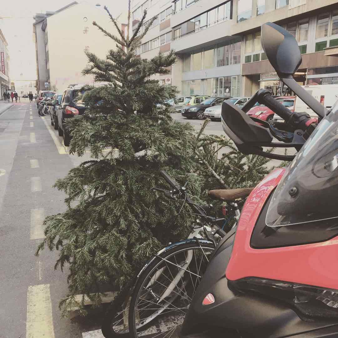 insta_OXmasTree_2018_17a_tree_LeParadoxe.jpg