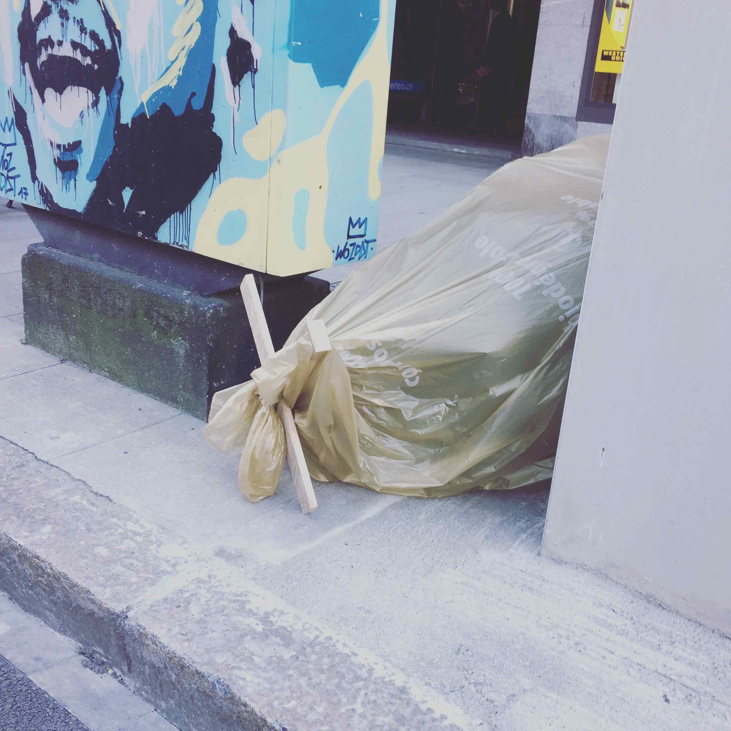 Am i the only one who sees dead bodies when I see these tree bags??
