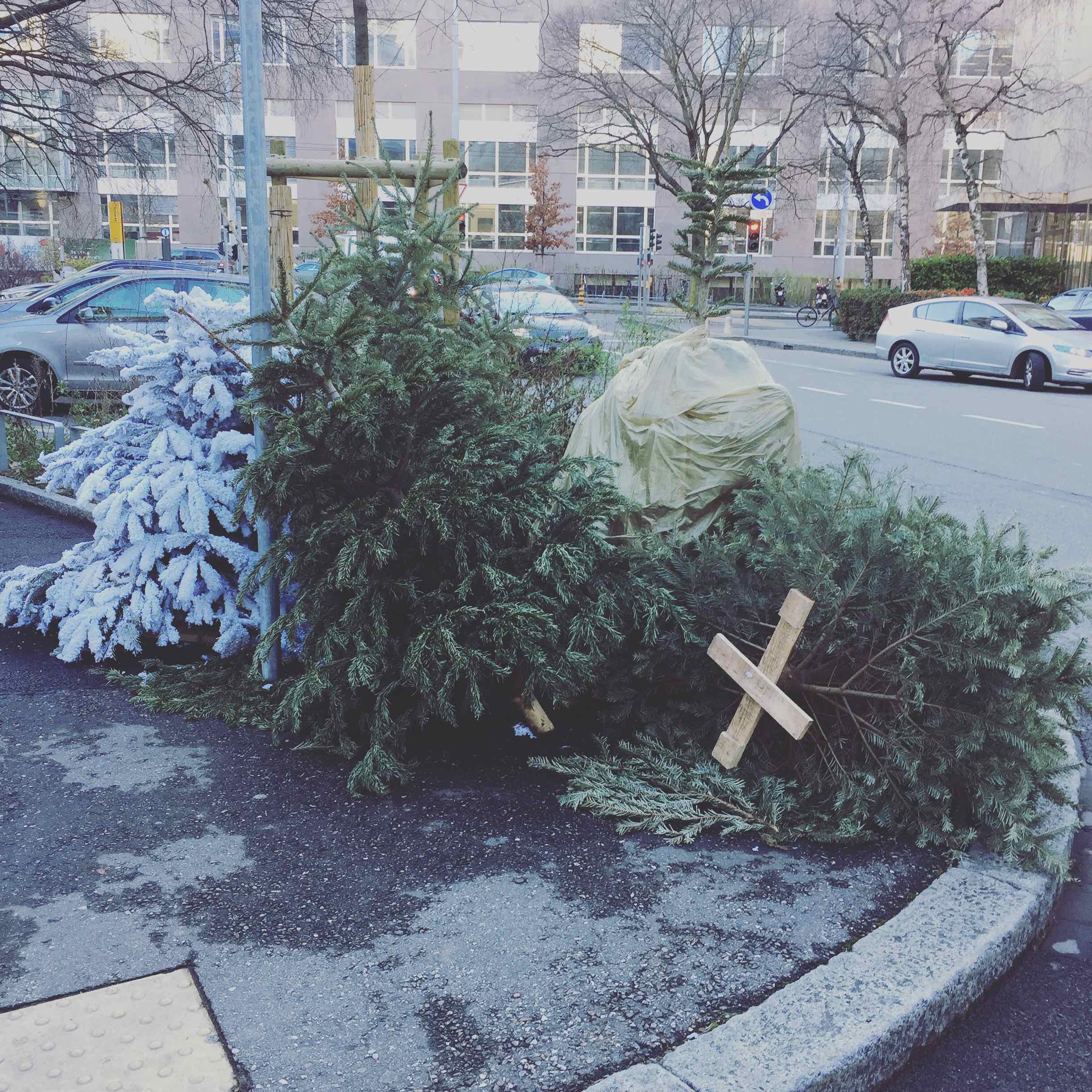 This day was terrifying. Every street was strewed by Xmas Trees. Few got thrown naked when other where covered with grave clothes. One even had suffer from a cryogenic experiment... how far is going humanity?