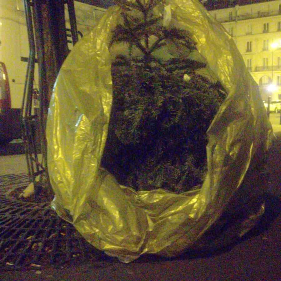 The Phantom of the Opera ~ staring a dead Xmas Tree