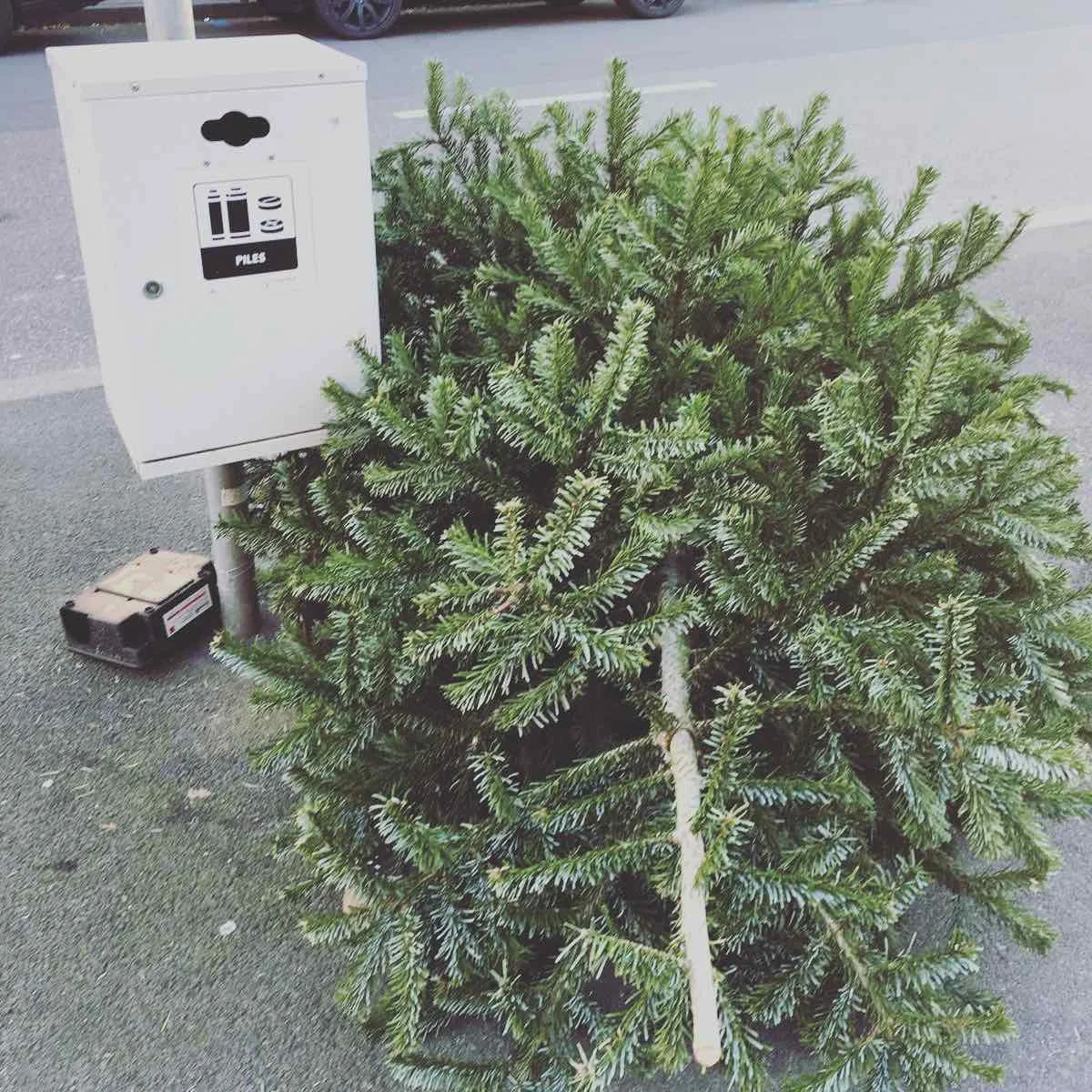 Ha this owner probably thought his tree was running out of battery... Can be a great metaphor though... Maybe better to use rechargeable batteries, just like rent trees in pot.