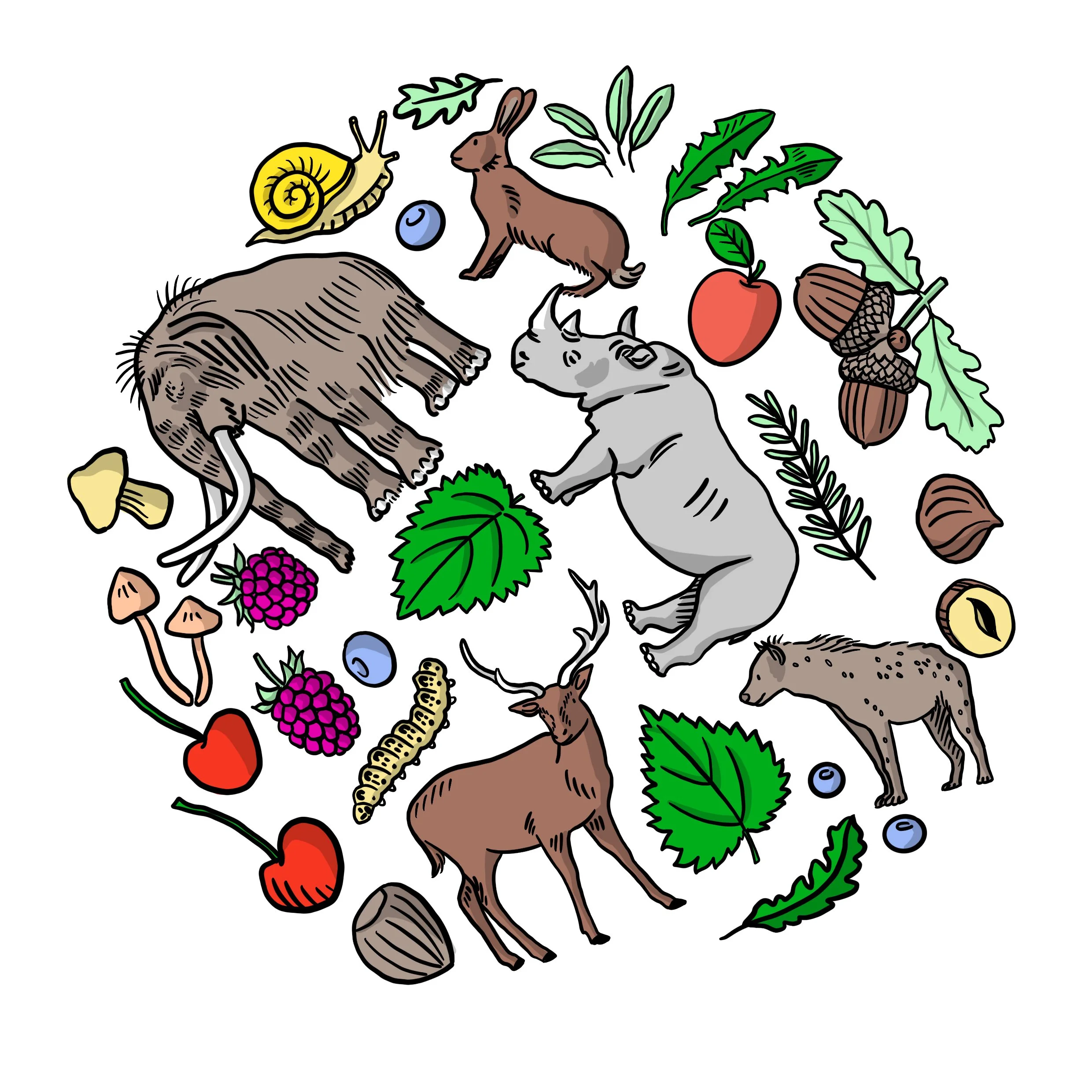 Oak National Academy