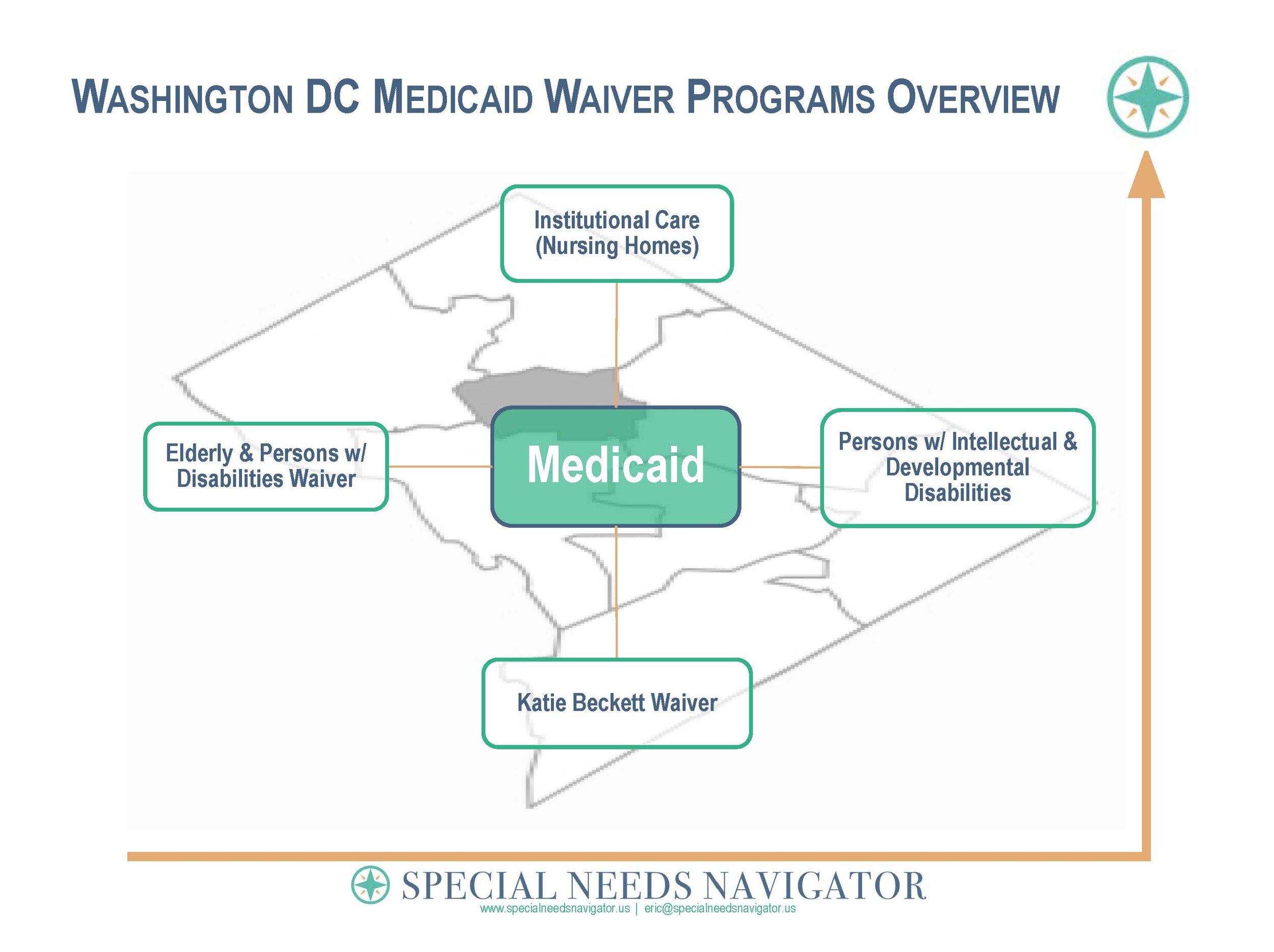 State Developmental Disability Services Roadmaps — TNDP