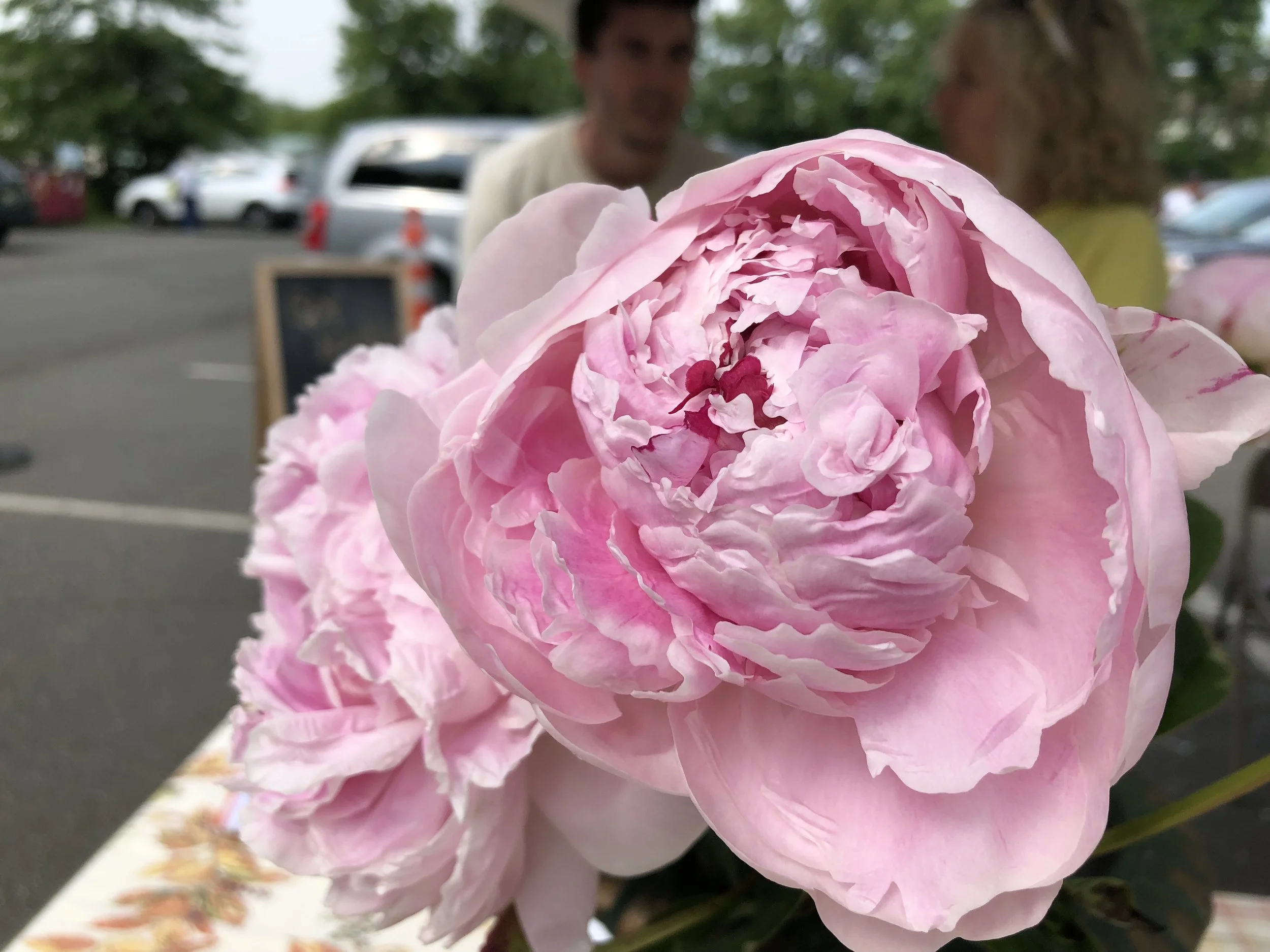 Opening Day NEXT WEEK!