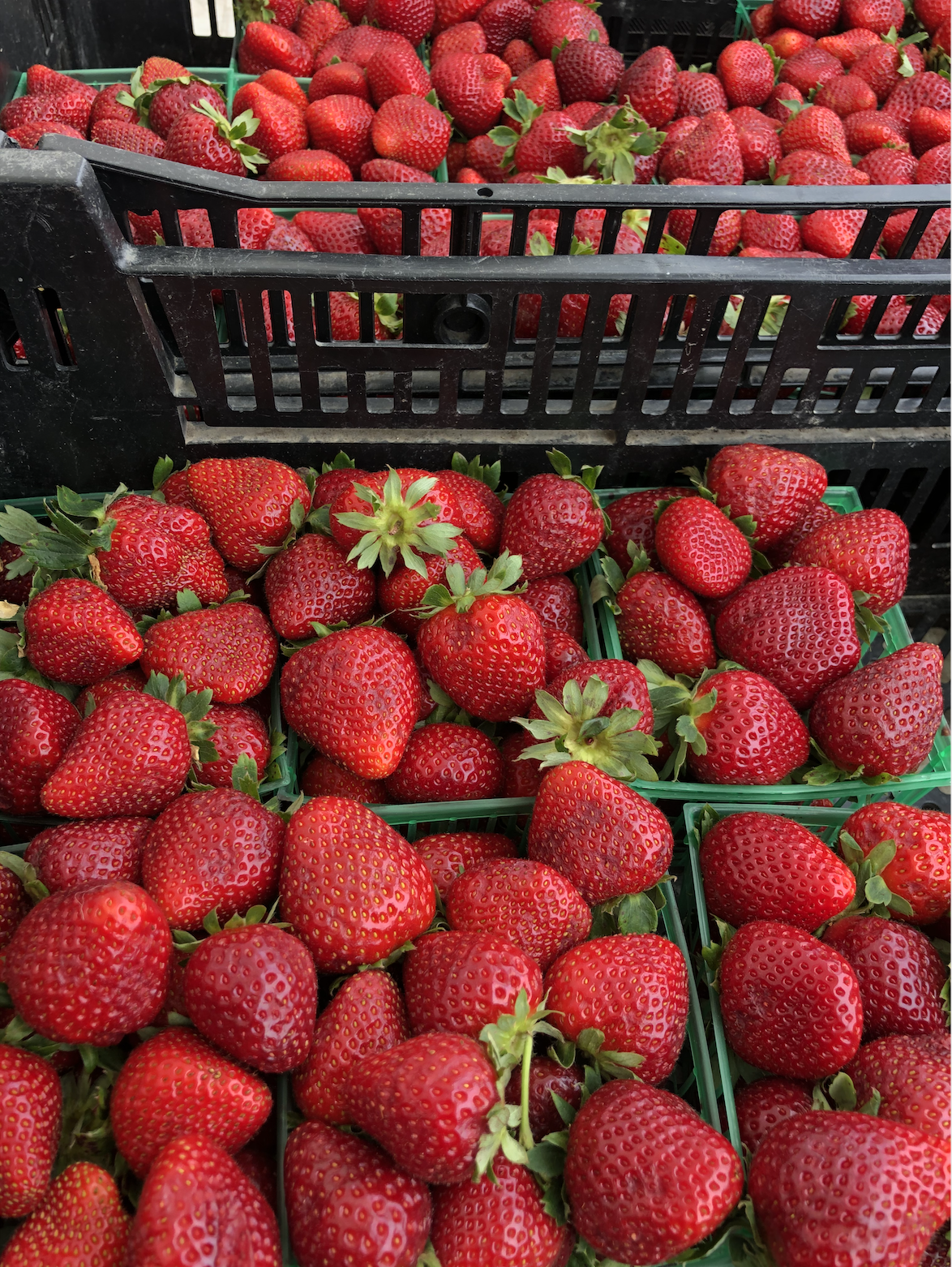 What's at market 6/8/22