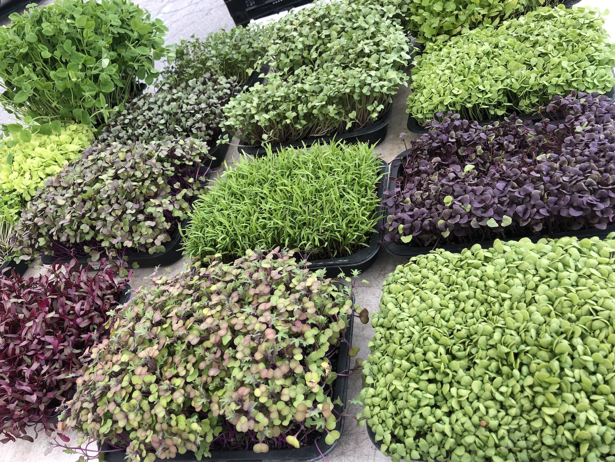 What's at market 6/15/22