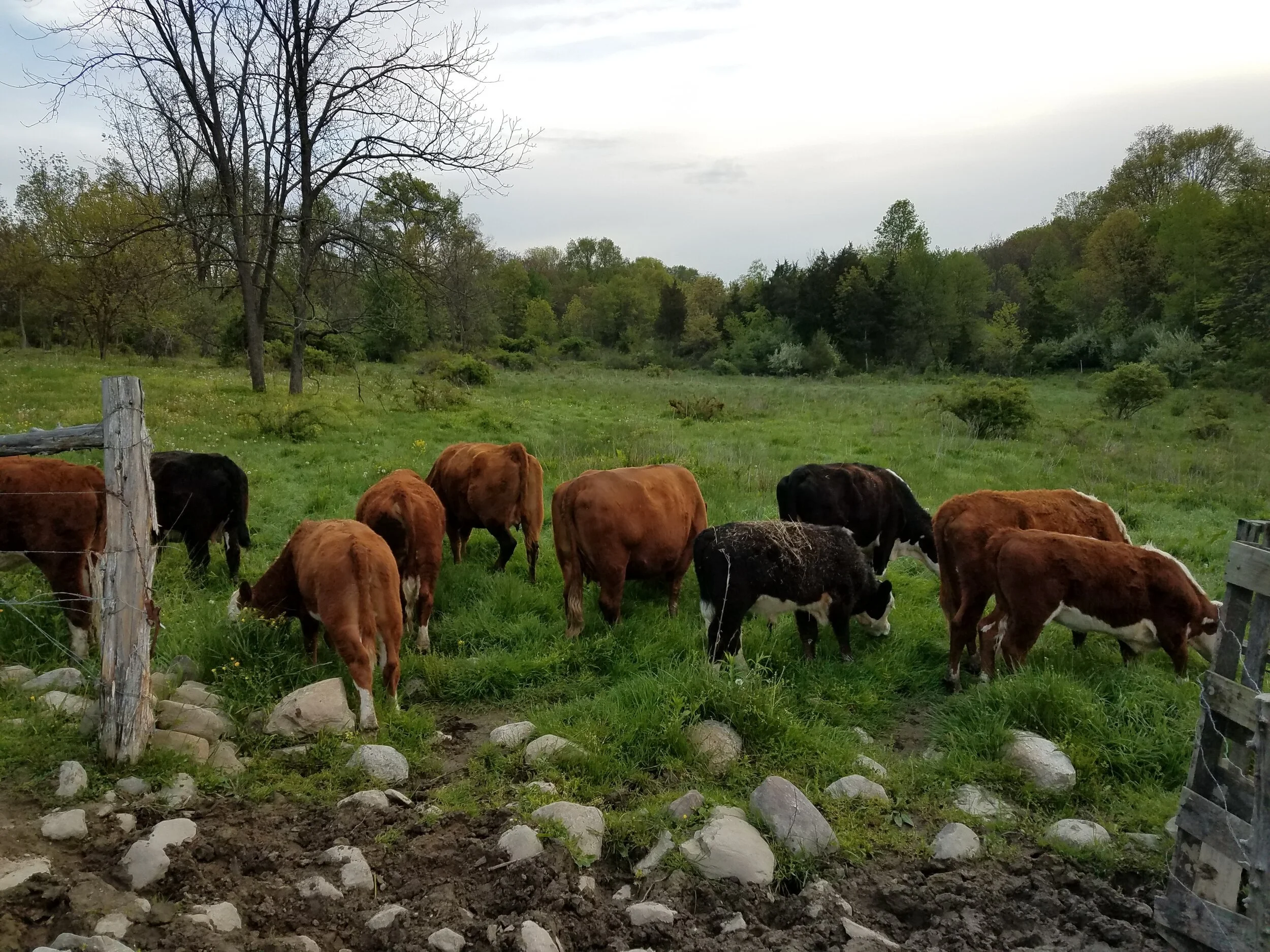 What's at Market 8/10/22