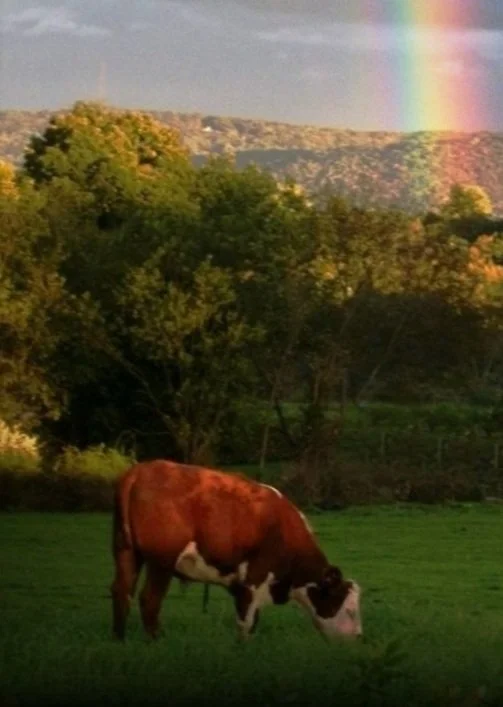 Vendor Spotlight: Hope Cress Farms