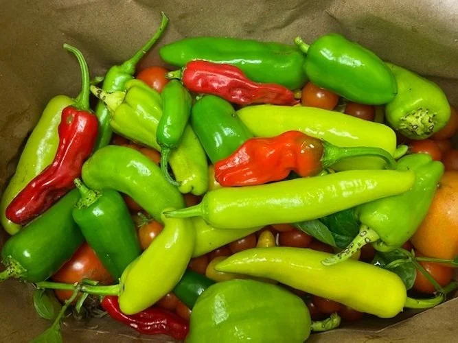 What's at Market 10/12/22
