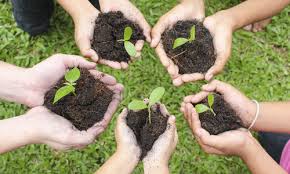 Organic Community Gardens