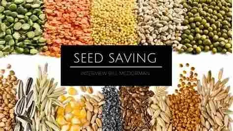 Saving Your Seeds - Hands On Workshop in the Garden!