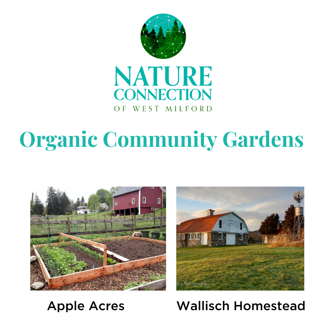 Organic Garden Education + Community Garden Sign up Night!