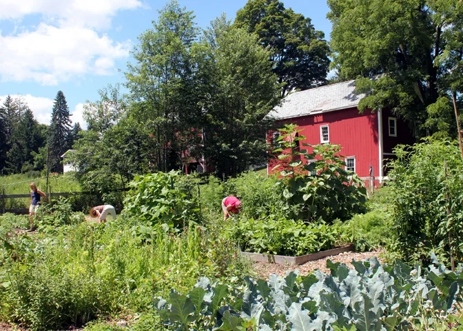 Organic Garden Education + Community Garden Sign up Night!