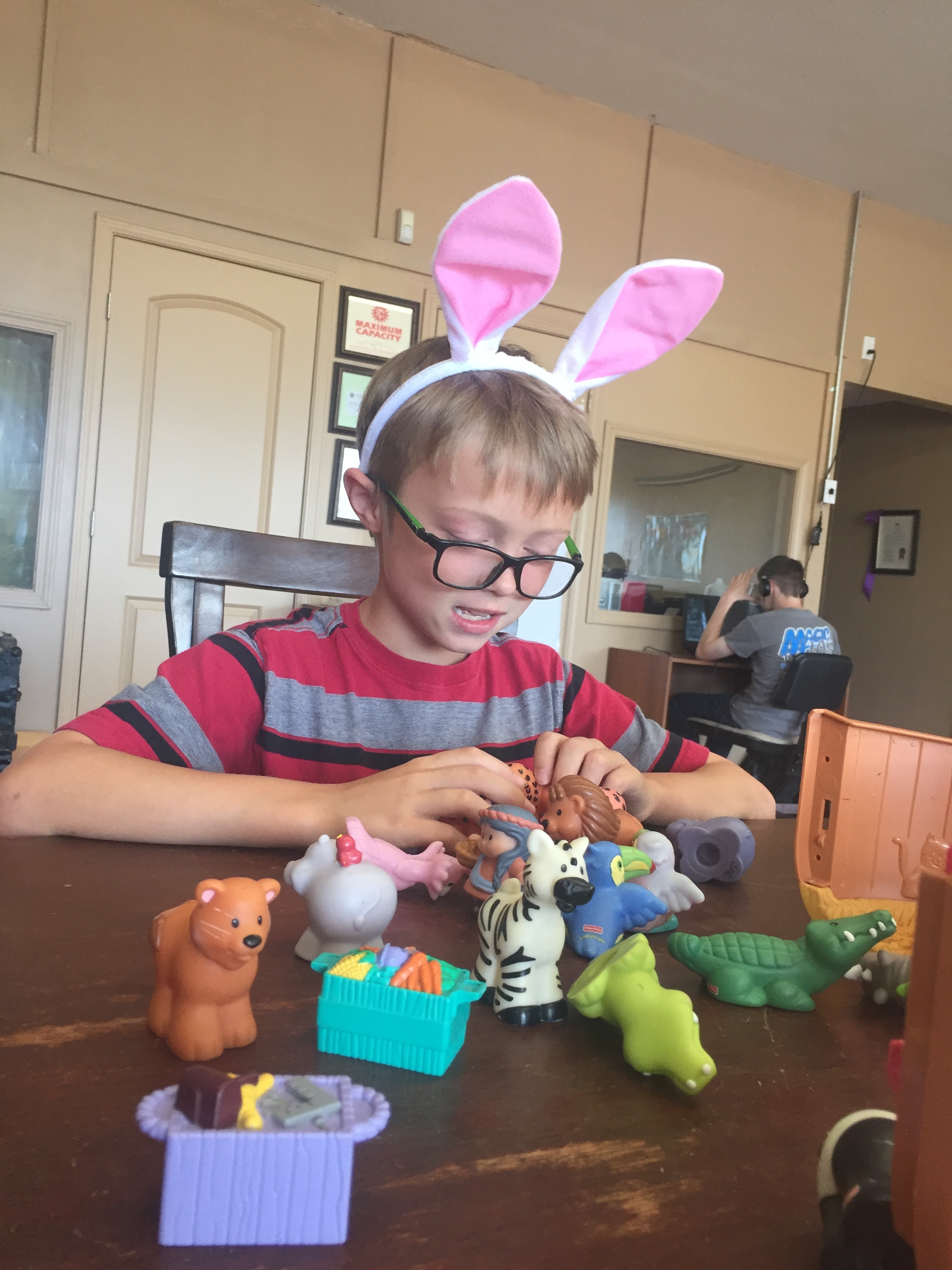 Tyler sorts the animals two by two