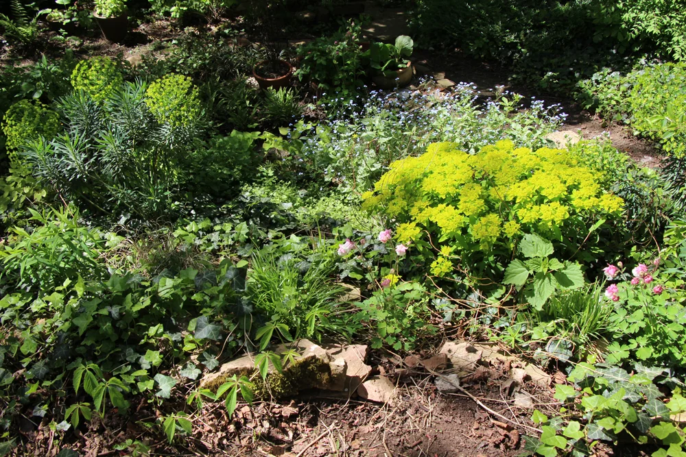 schmitzgarten.jpg