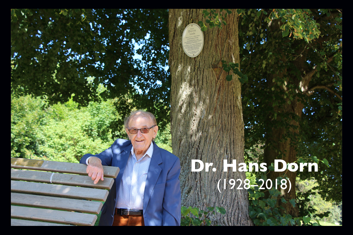 Dr. Hans Dorn im Juli 2018 unter »seiner« Linde im Schlosspark Ramholz
