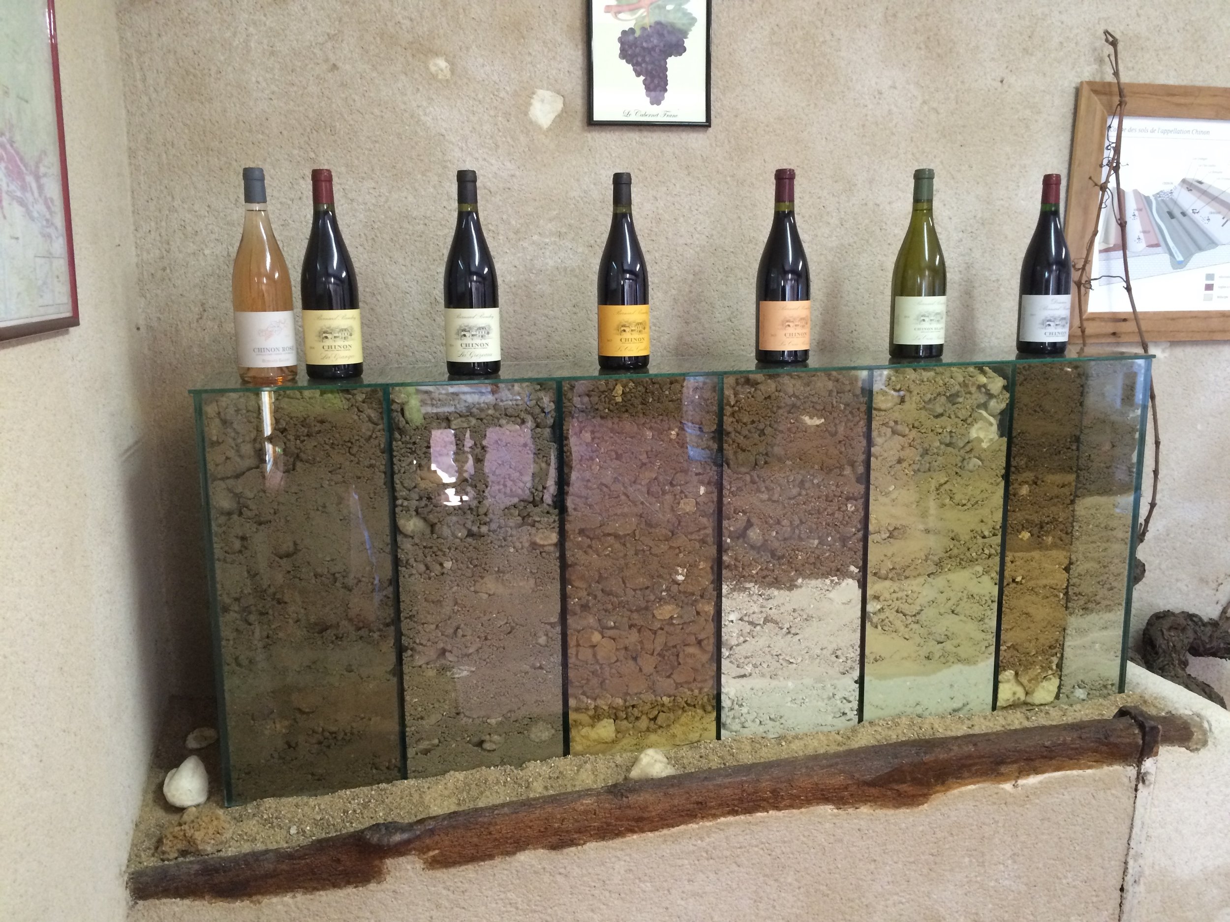 7 Chinon wines & soils Baudry.jpg