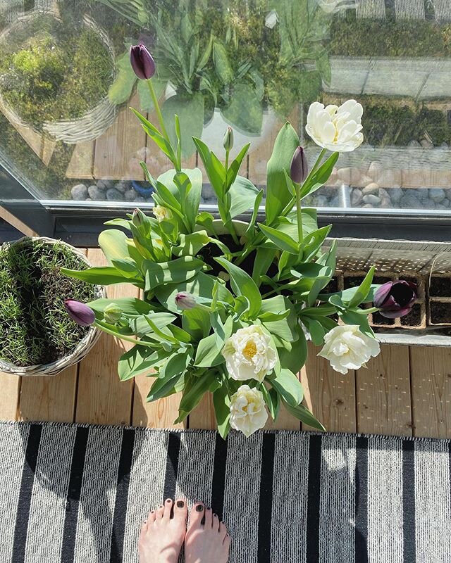 Sunny side up 🌷🌷🌷