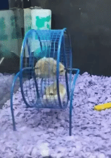 workinonProblems.gif