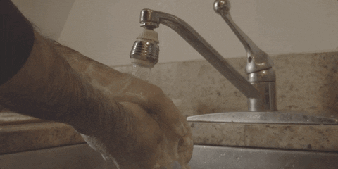 giphy (1).gif