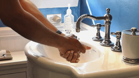 giphy (4).gif