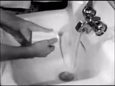 giphy (3).gif