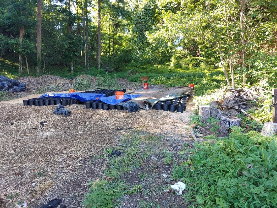 20200710_173913.jpg