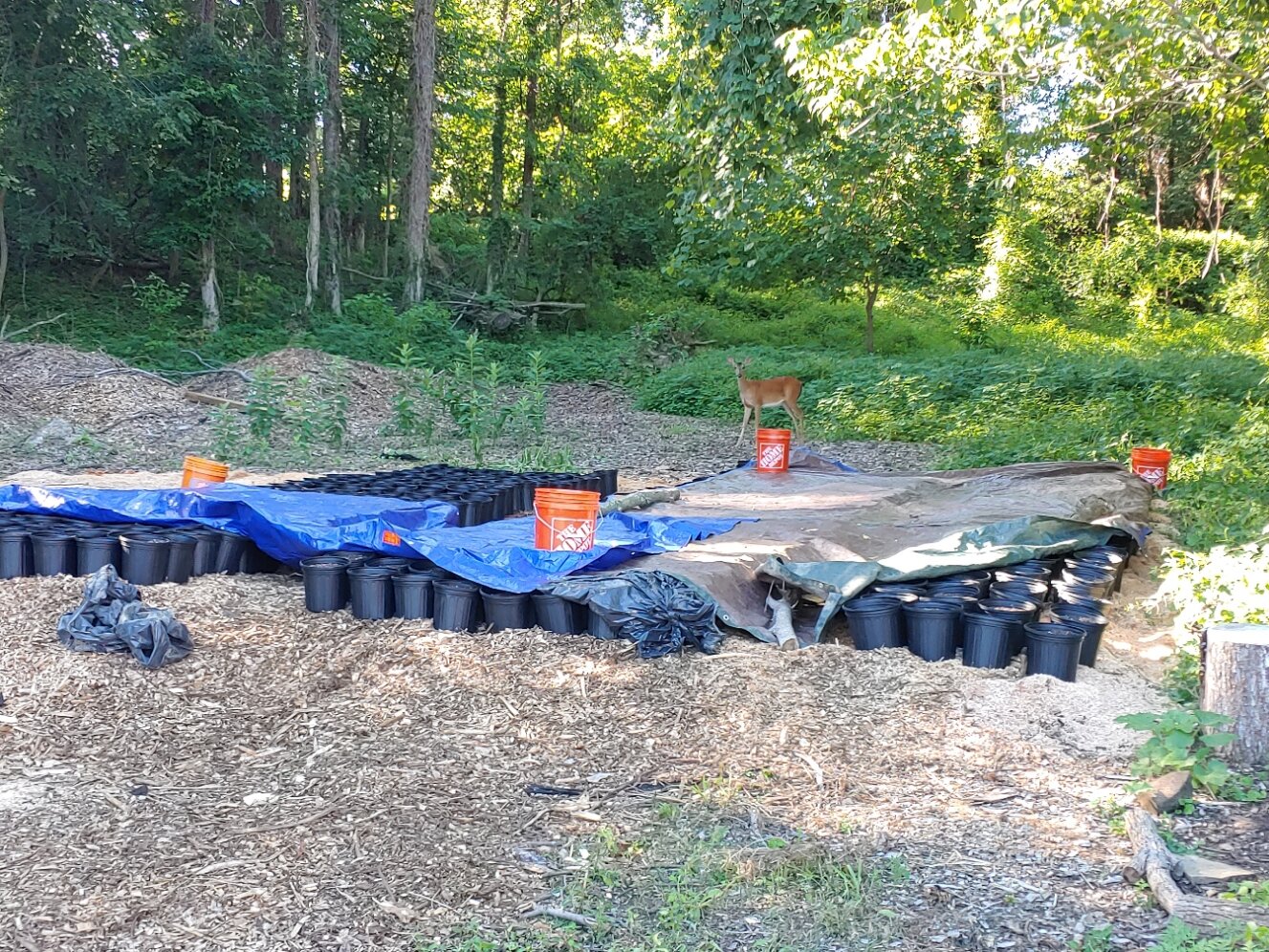 20200710_173939.jpg