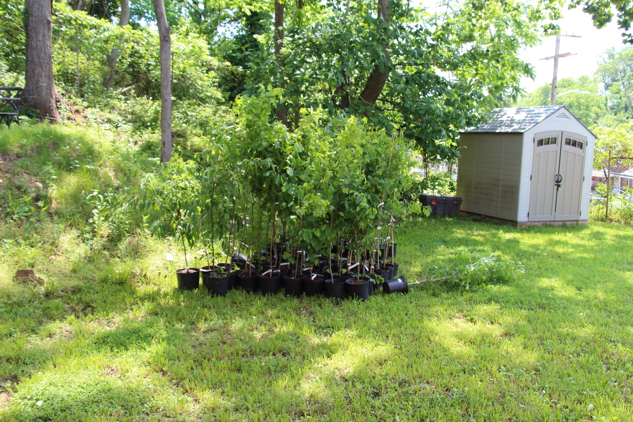 IMG_0067.JPG