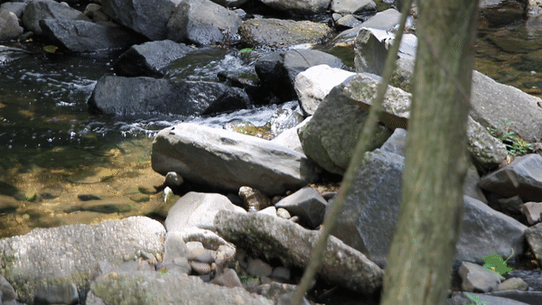 How a rumored hidden creek inspired a Baltimore pastor’s peace park 