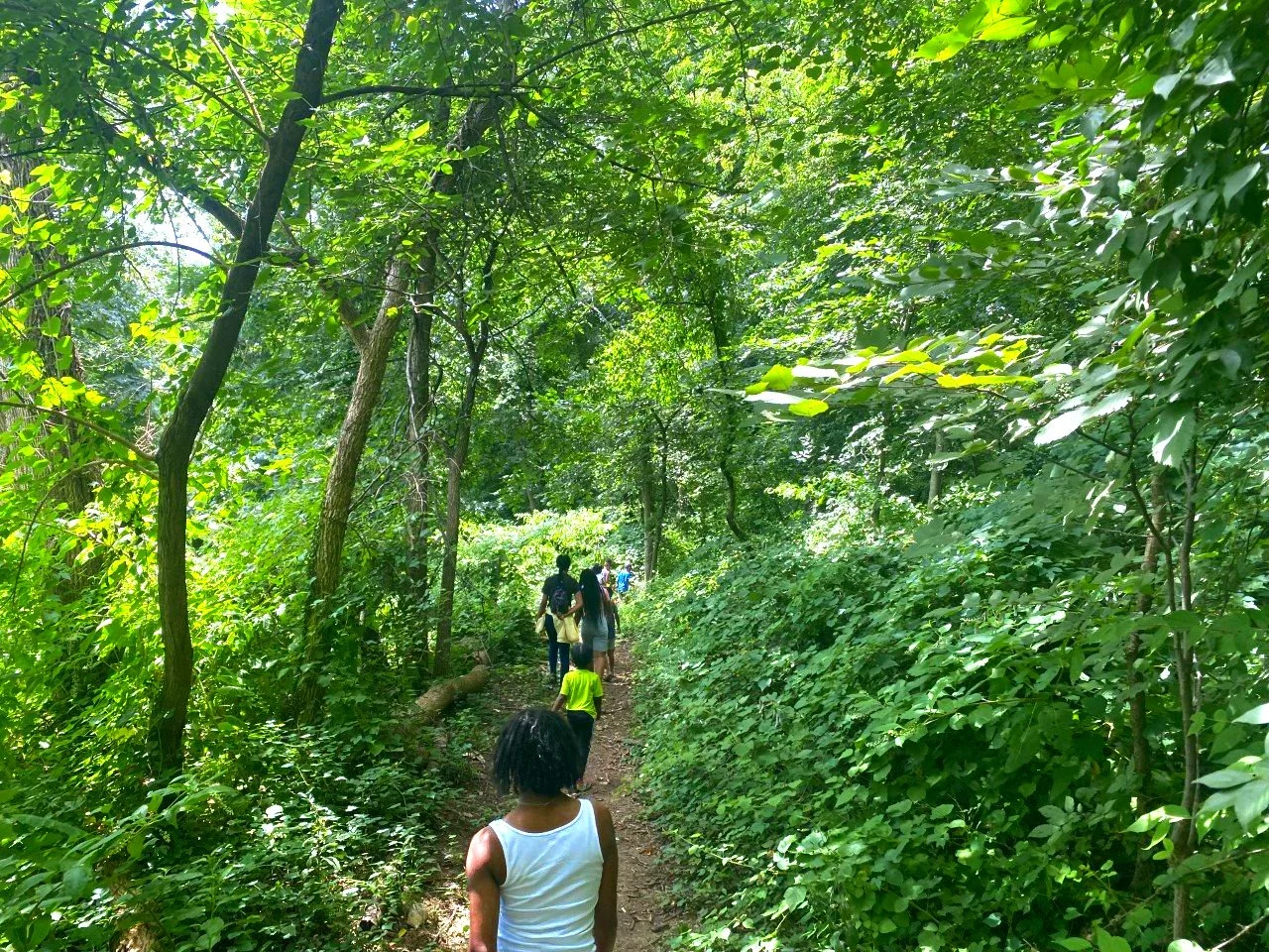 Baltimore+Forest+School+Nature+Walk.jpg