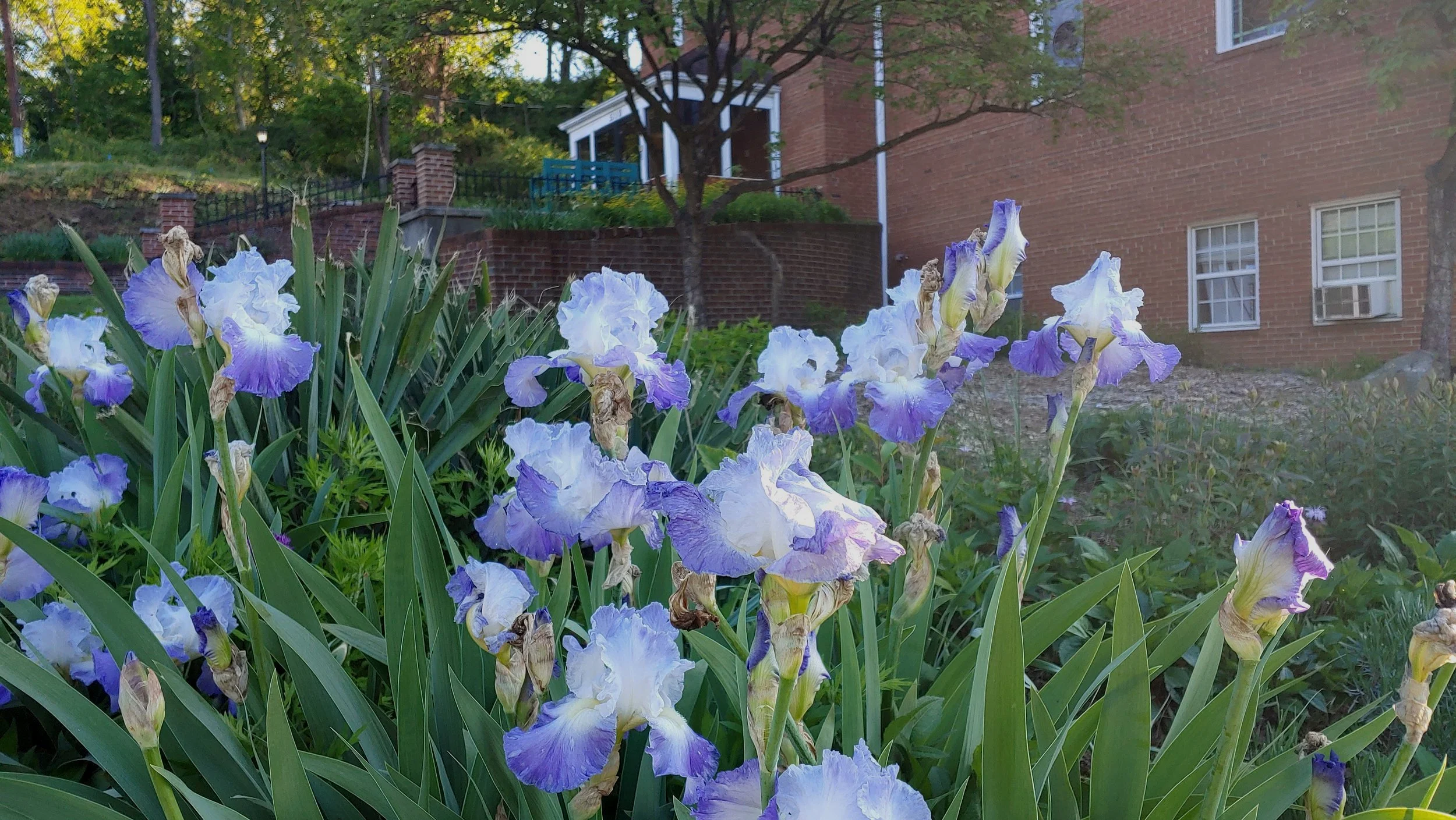 20230505_073030.jpg