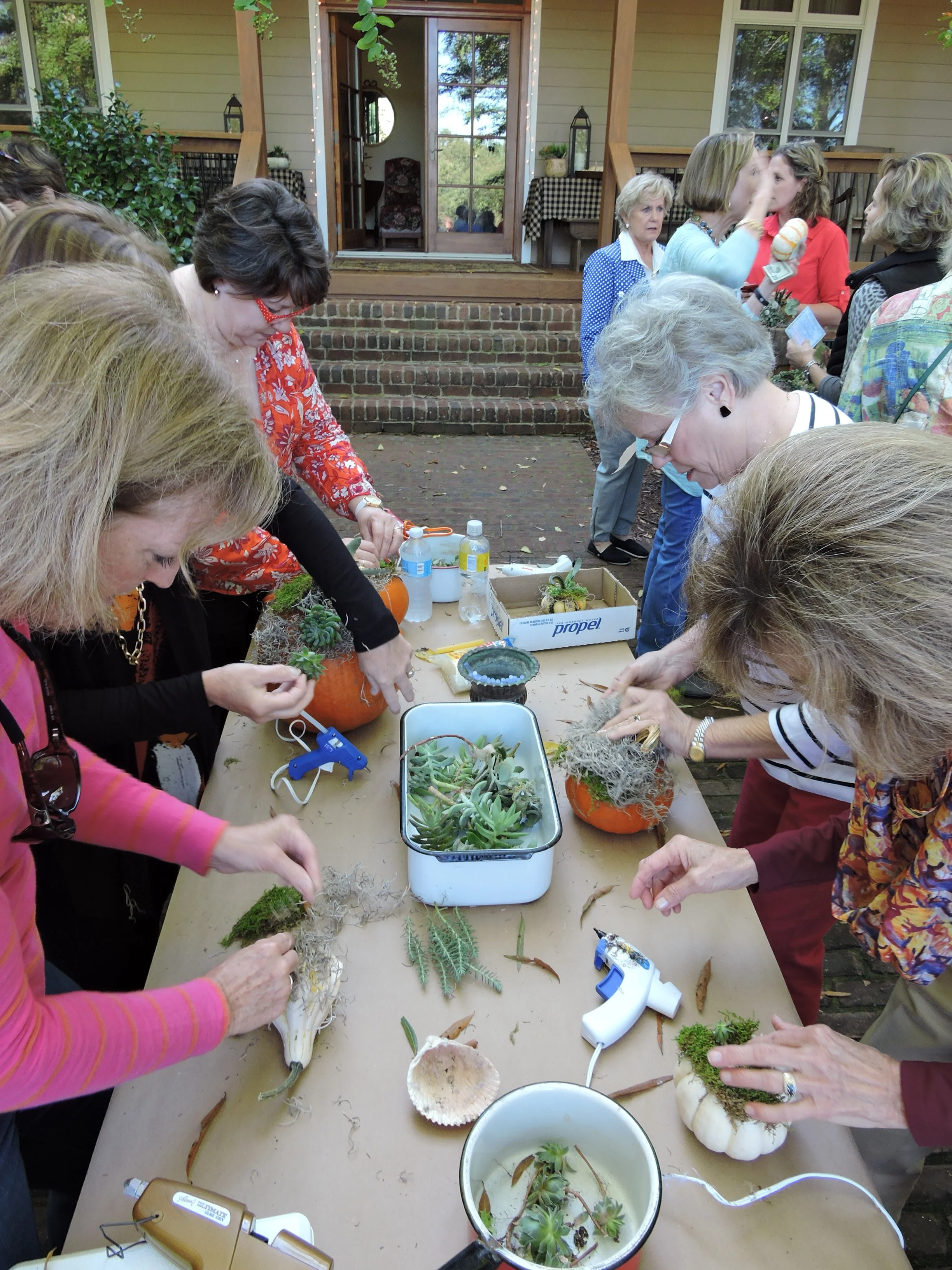 Open Terrarium Make n' Take (PRIVATE EVENT)