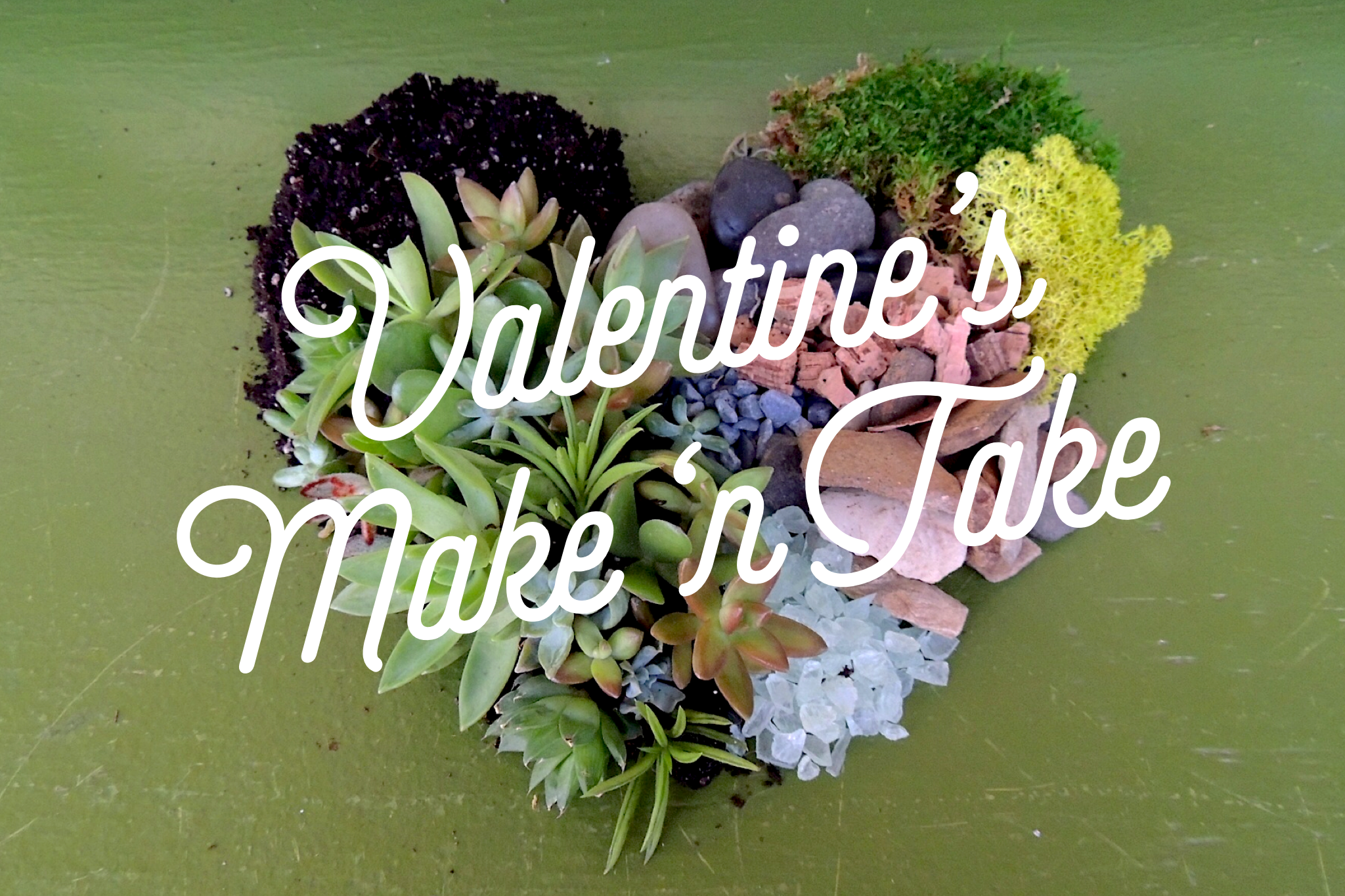Make n' Take: Potted Gardens