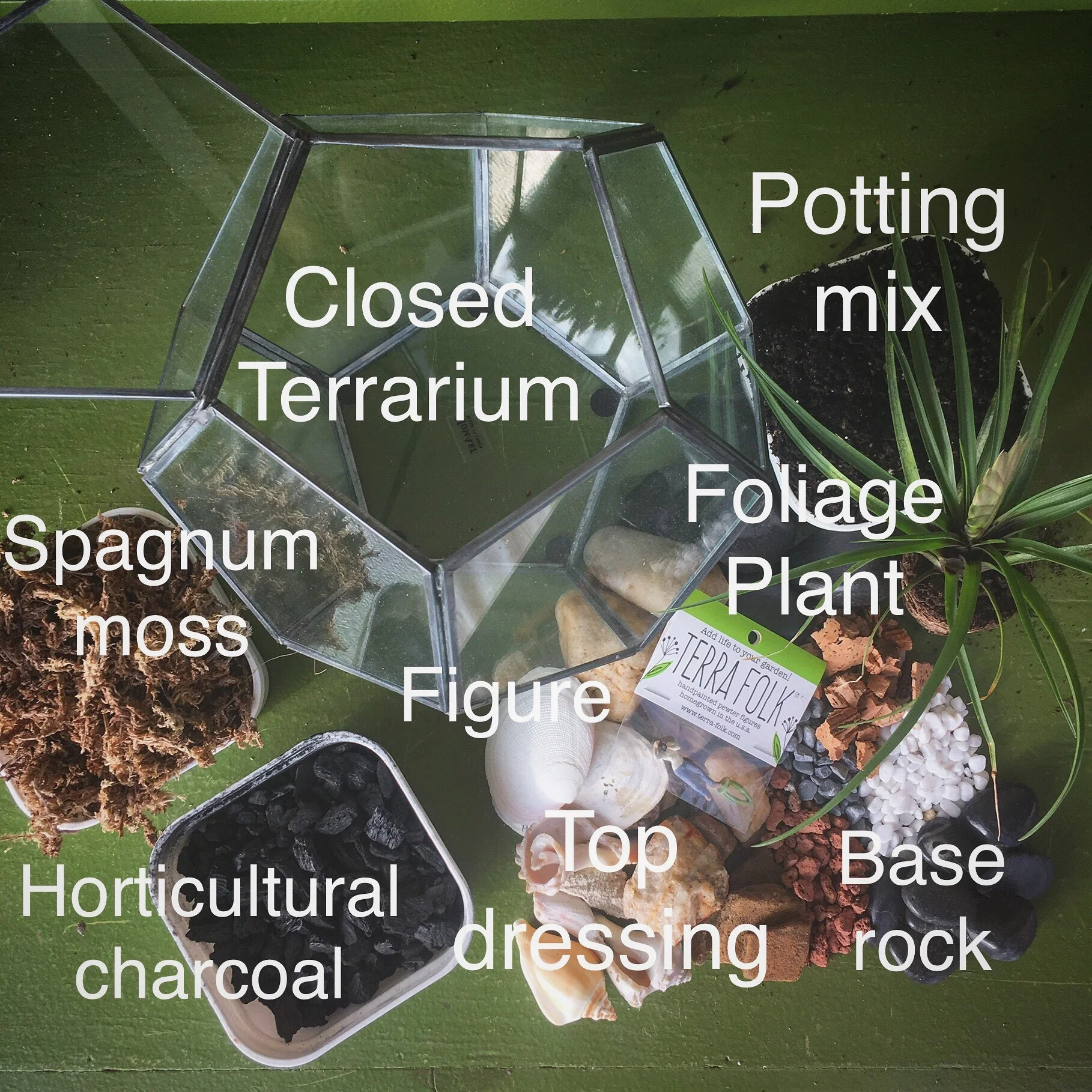 Closed Terrarium Viva Pendleton