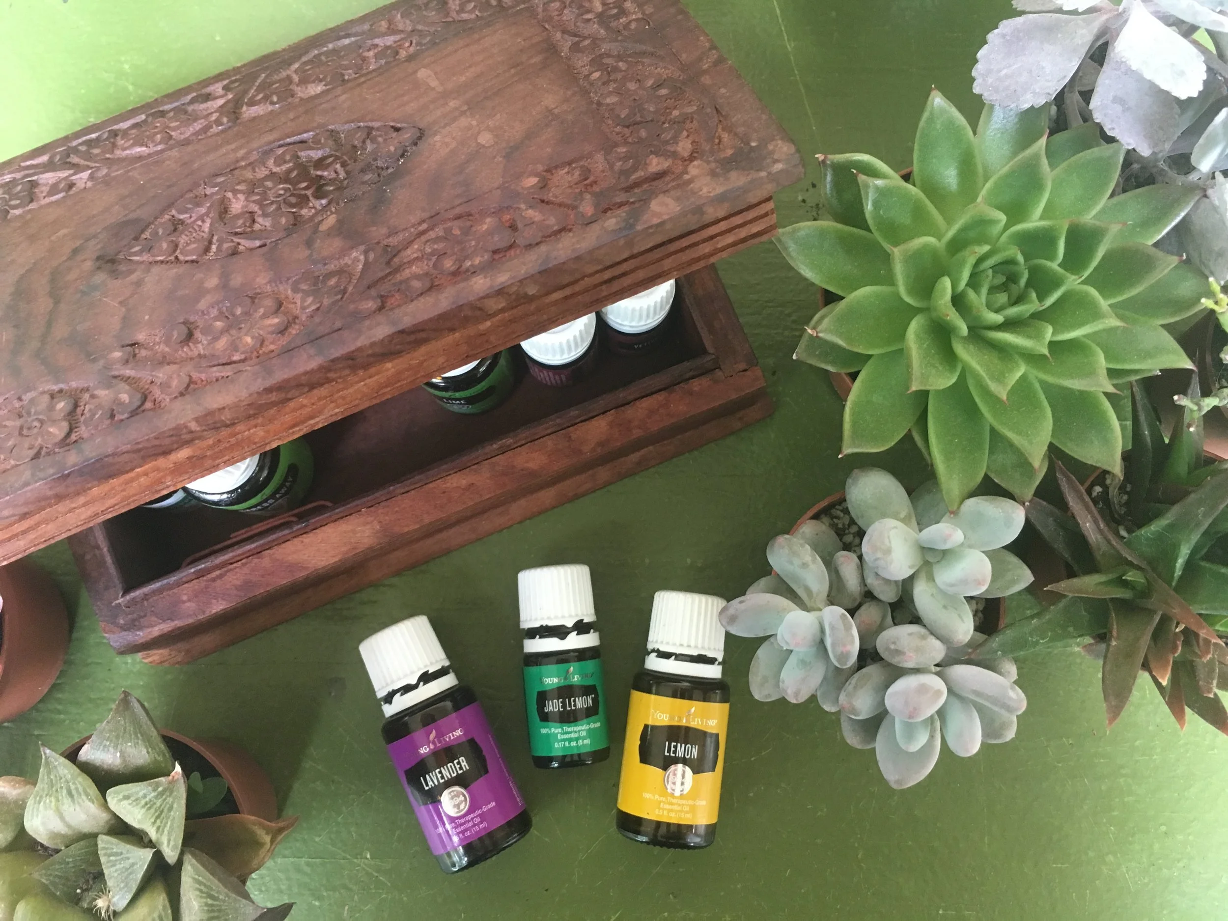 Succulents & Oils