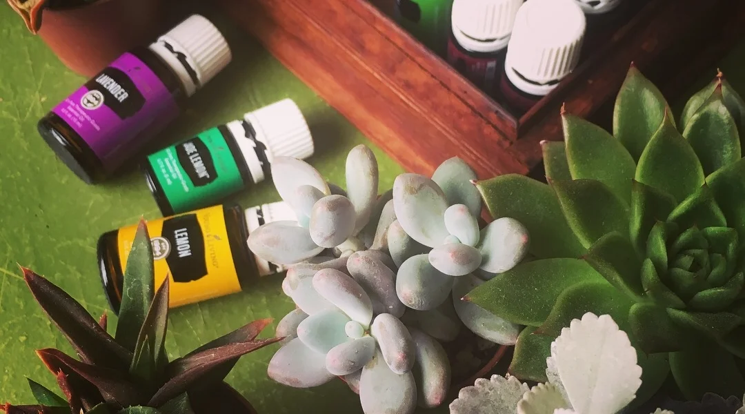 Succulents and Oils with Live.Love.Oil Club