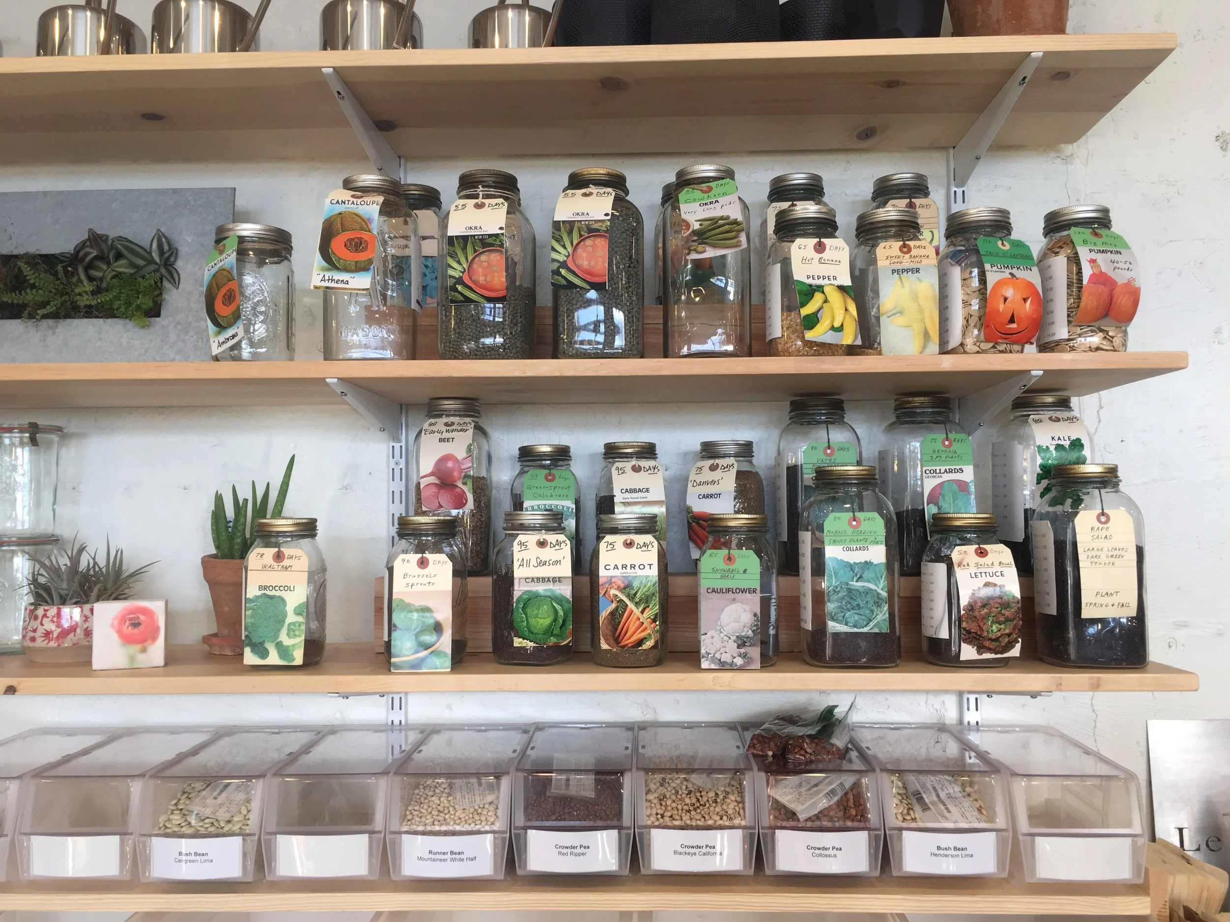 Starting Seeds, a KIDS Make n' Take