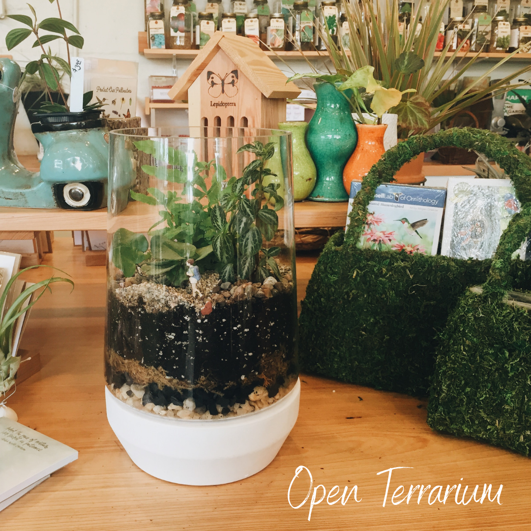 Open Terrarium Adult Make n' Take.png
