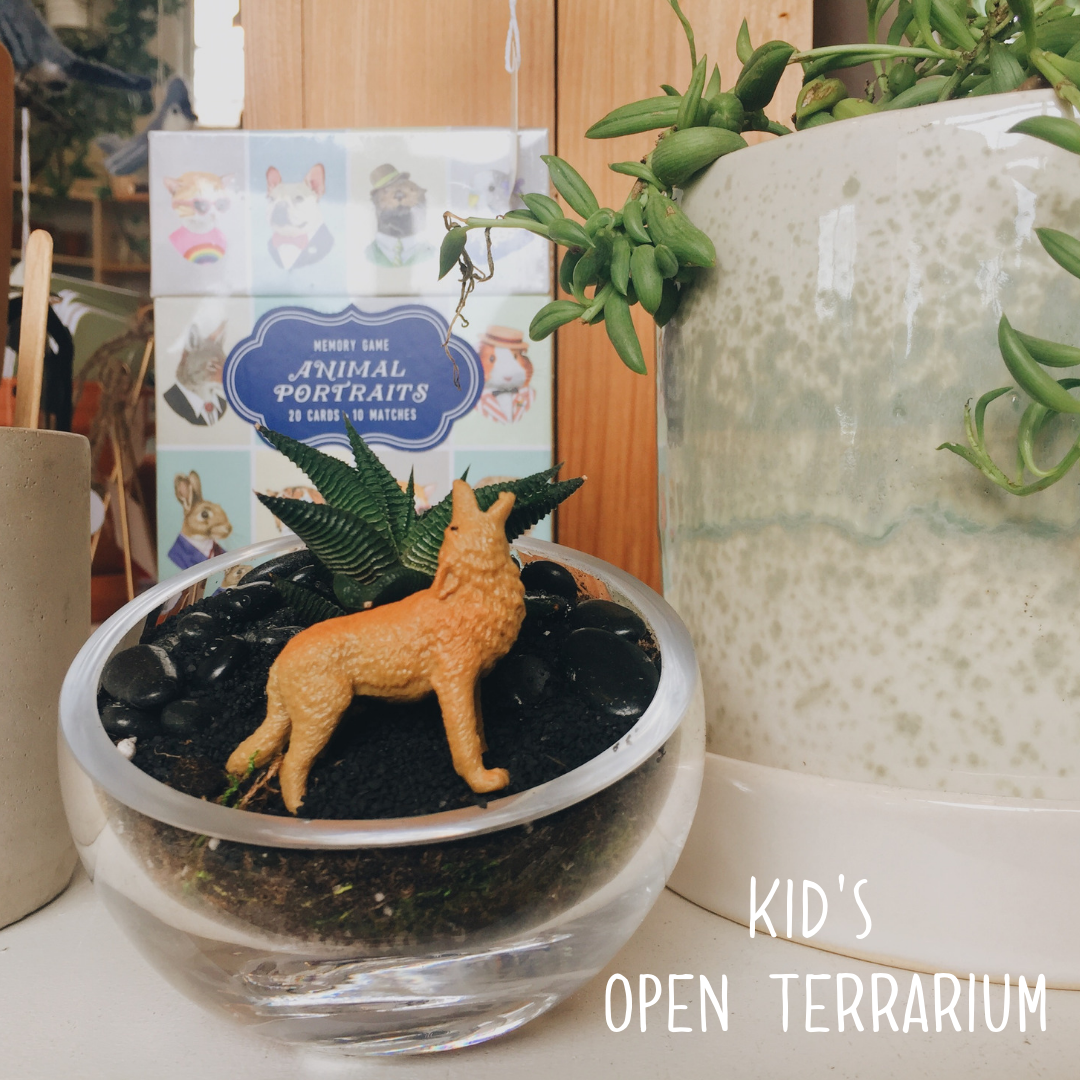 Open Terrarium- A Kid's Make n' Take