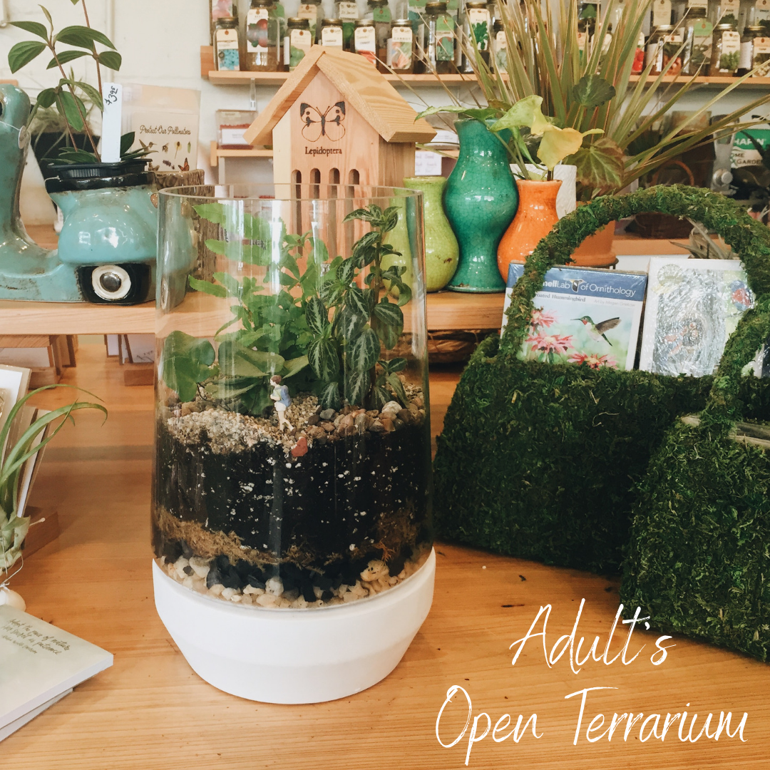 Open Terrarium- An Adult Make n' Take 