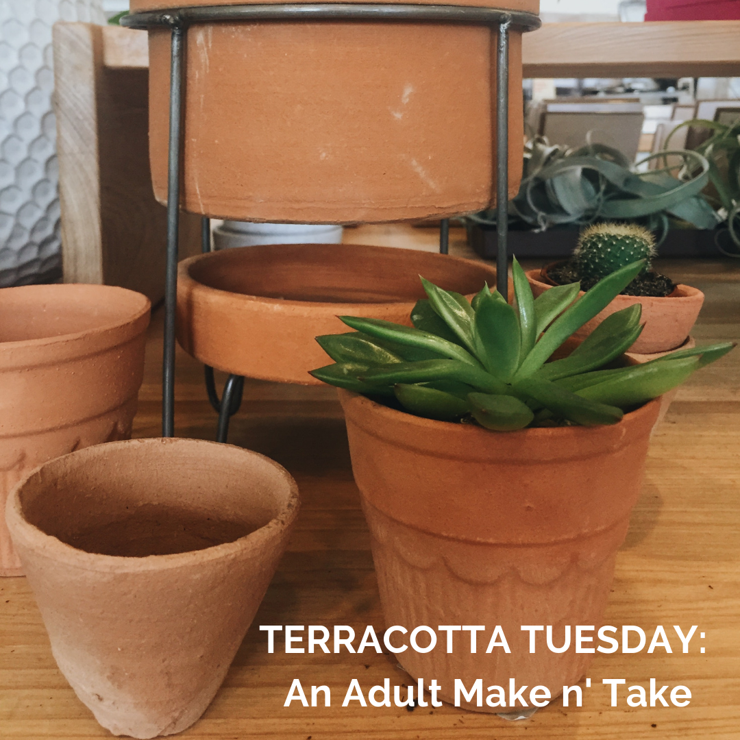 Terracotta Tuesday: an ADULT Make n' Take 