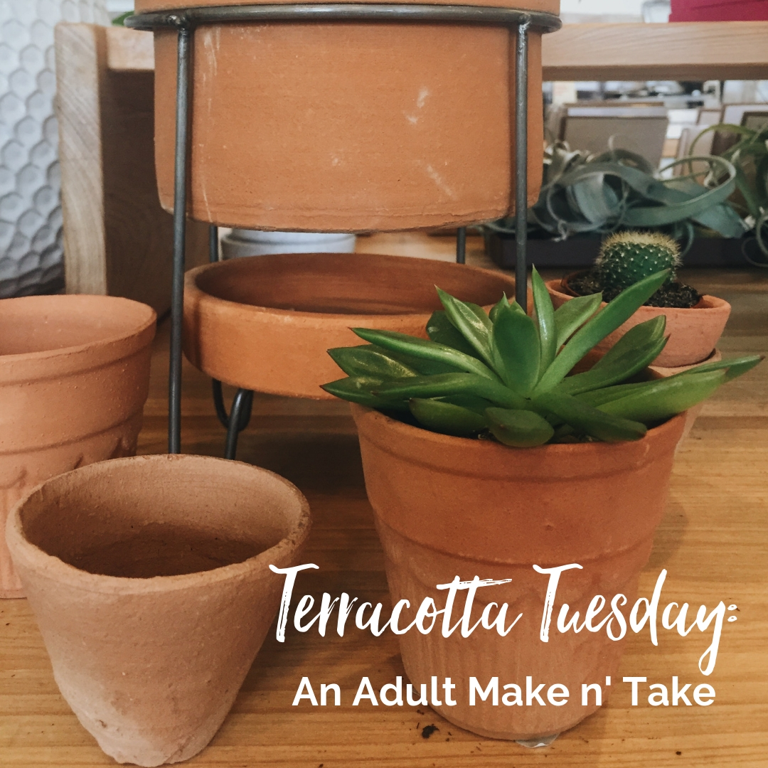 Terracotta Tuesday, An ADULT Make n' Take