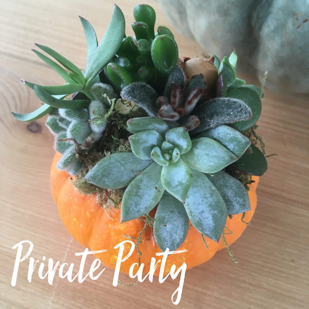 Private Party.png