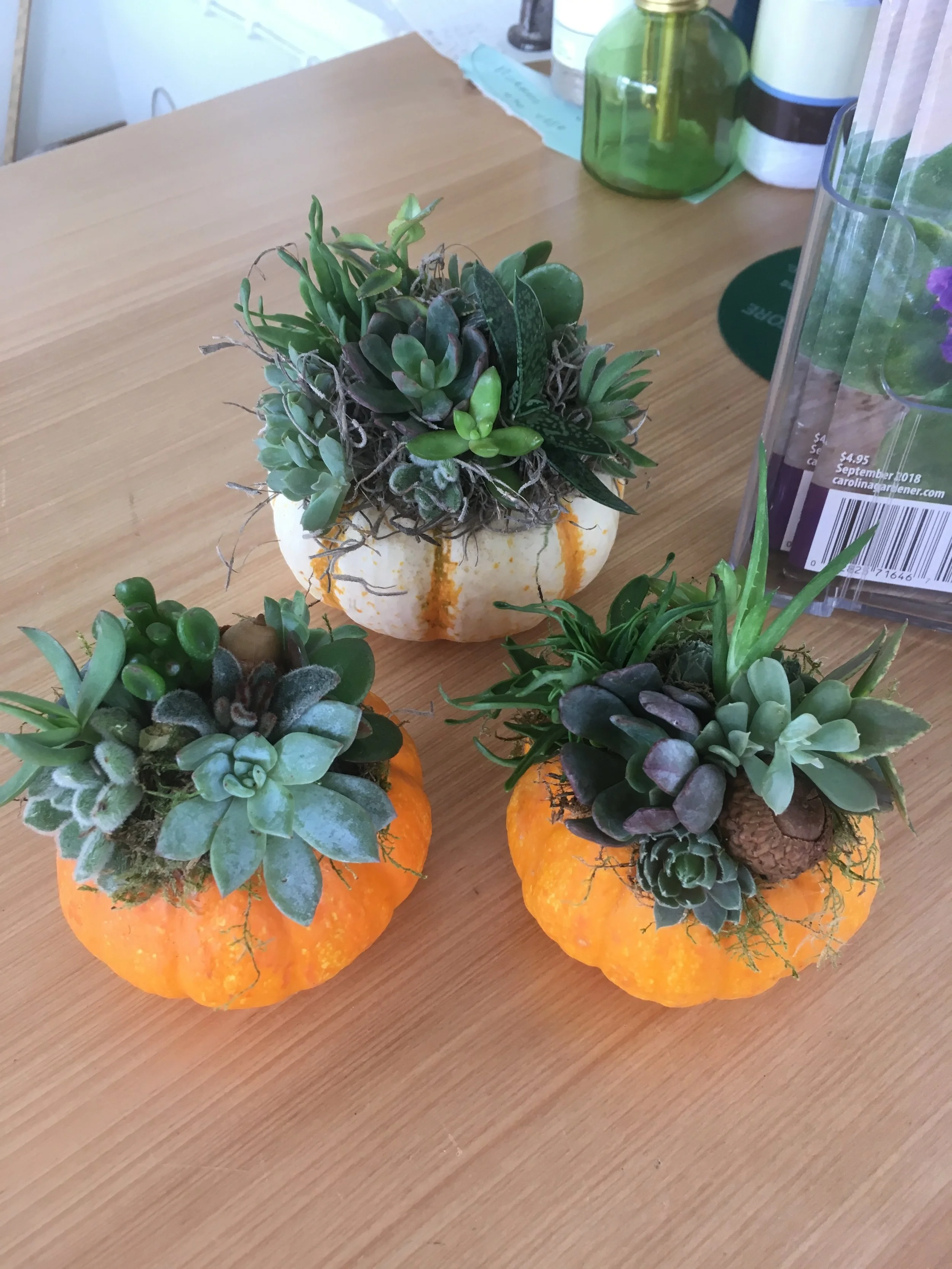 IMG_7185 (2019_05_02 09_24_07 UTC).JPG