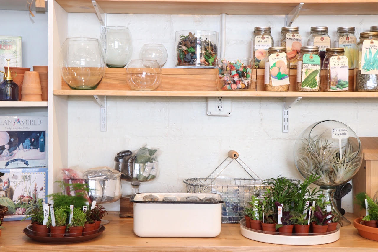 kids terrarium.jpg