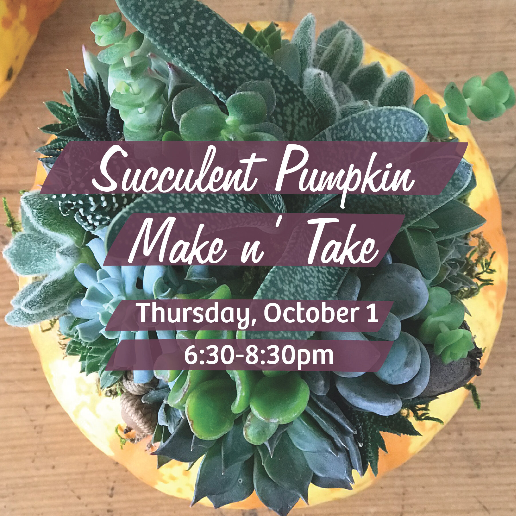 insta post succulent pumpkin class anncmt.jpg