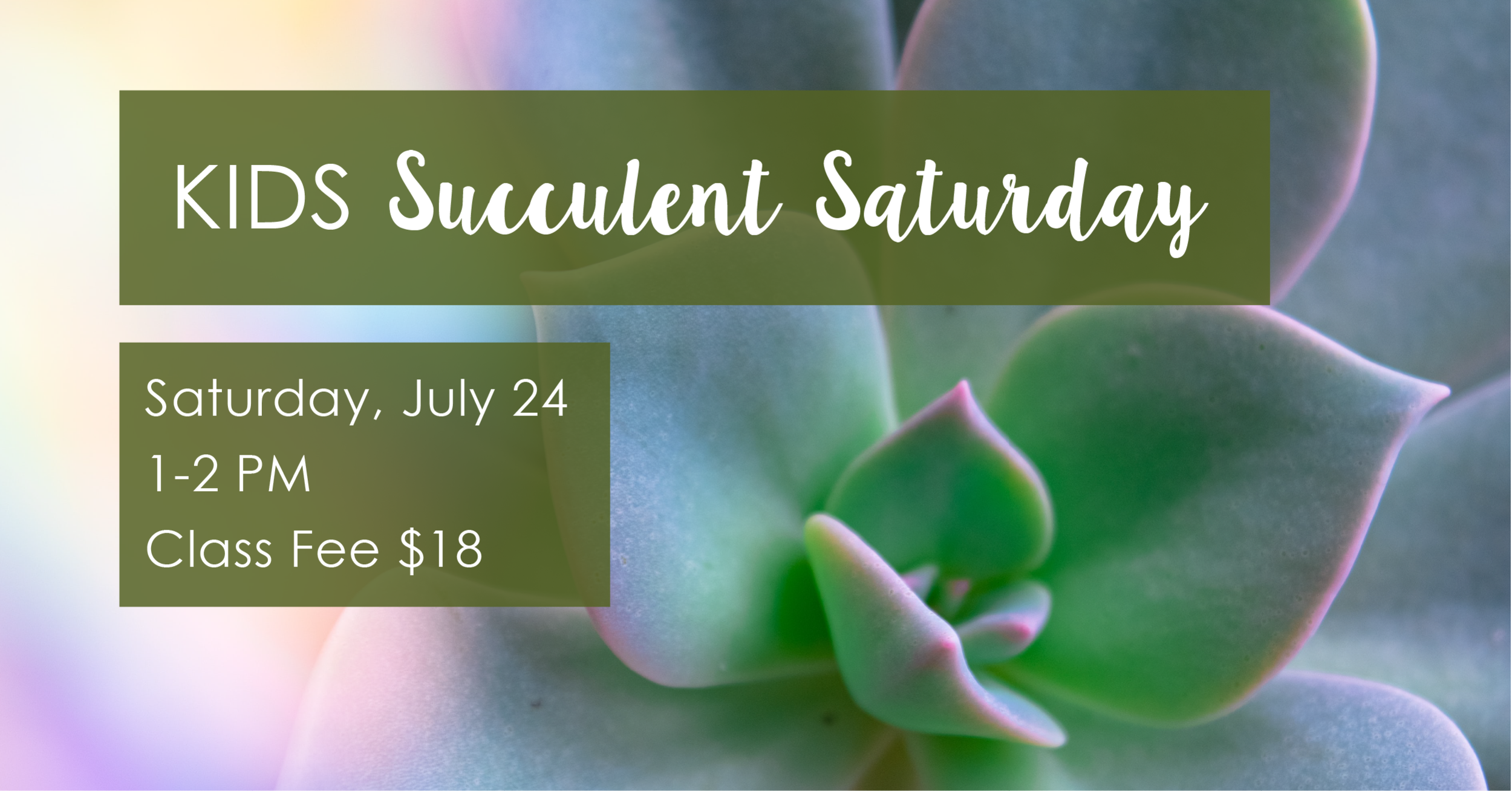 CitySeed_June&July_Kids Succulent Event Banner.png